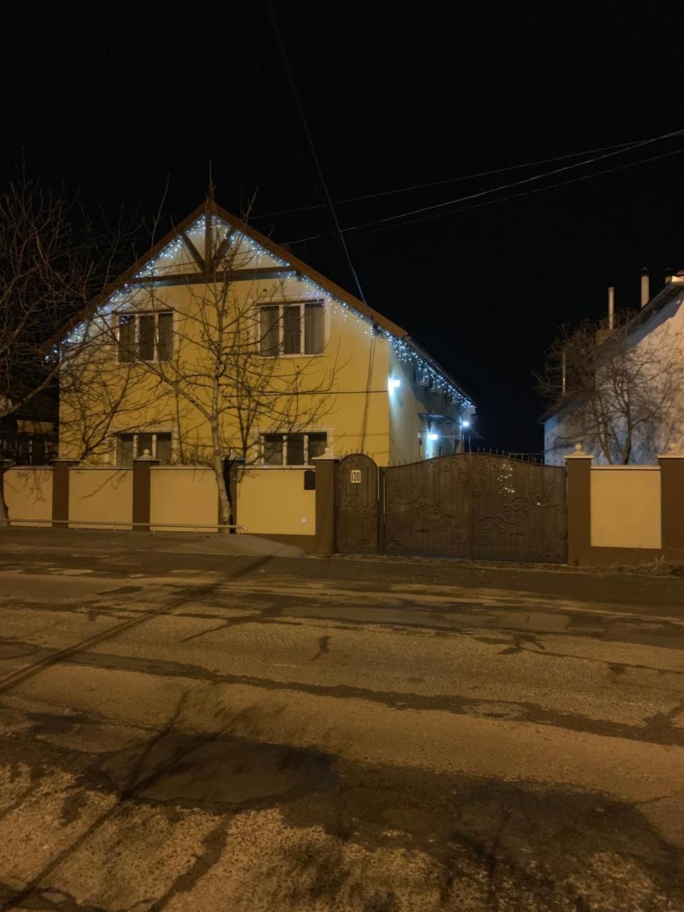 Міні Готель Вілла Вікторія Berehove  Eksteriør billede